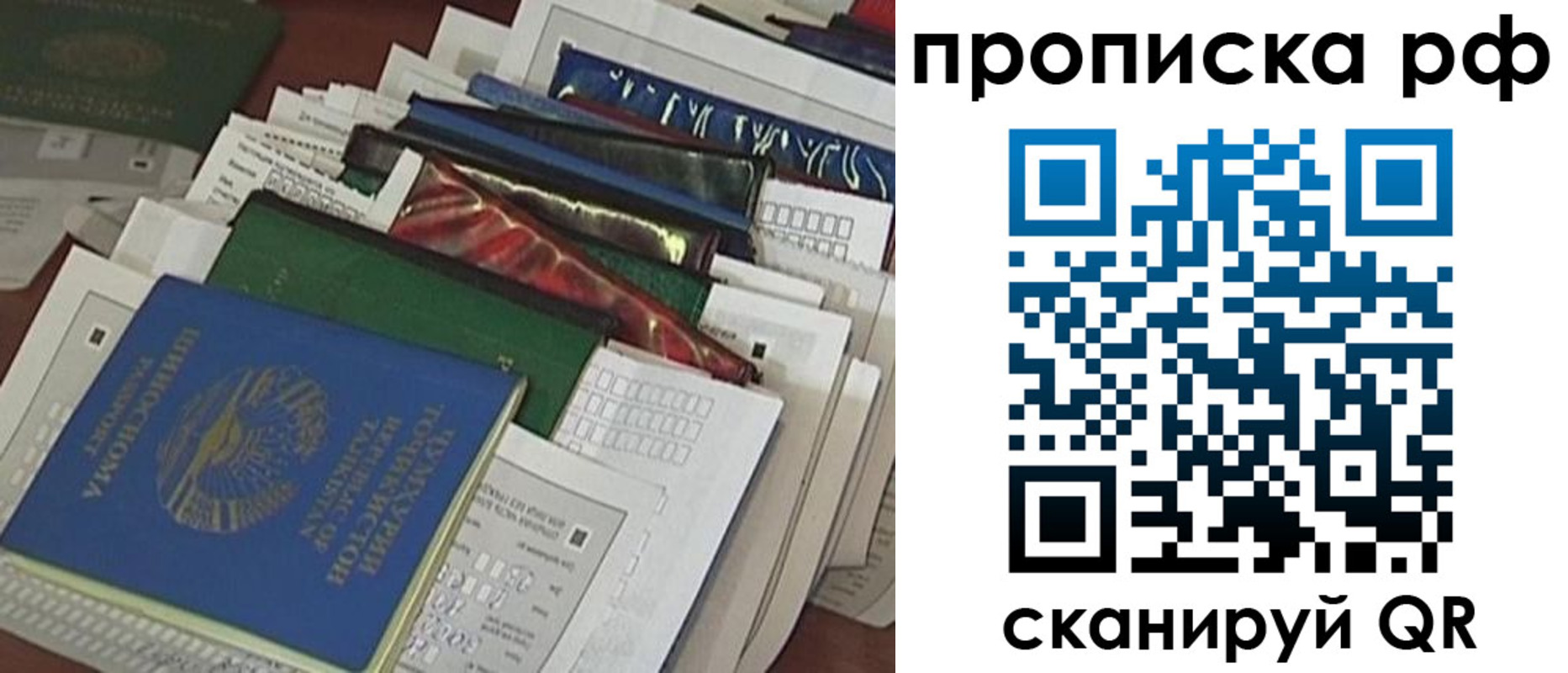 прописка в Фрязино